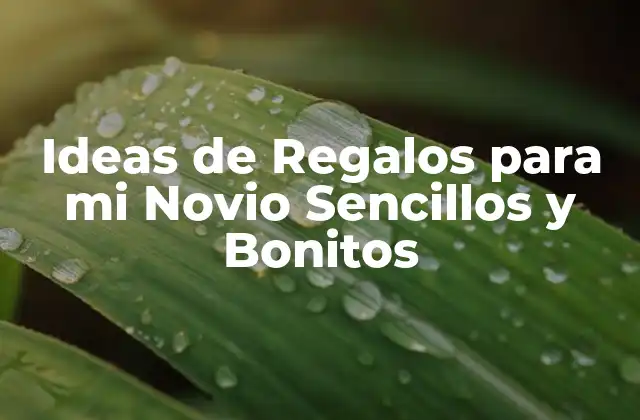 Ideas de Regalos para Mi Novio Sencillos y Bonitos