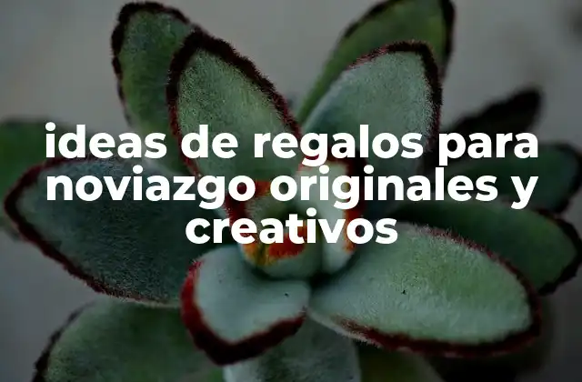 Ideas de Regalos para Noviazgo Originales y Creativos