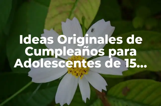 Ideas Originales de Cumpleaños para Adolescentes de 15 Años