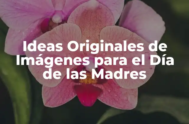 Ideas Originales de Imágenes para el Día de las Madres 2 ¿Por qué las Imágenes son Importantes para el Día de las Madres?