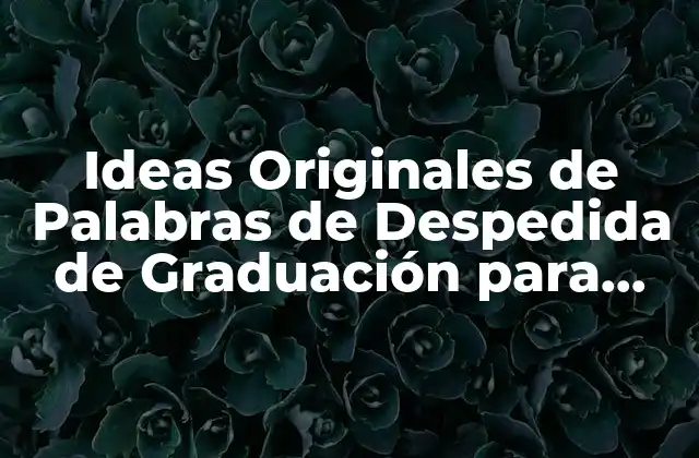 Ideas Originales de Palabras de Despedida de Graduación para Inspirar a los Estudiantes