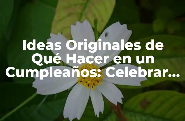Ideas Originales de Qué Hacer en un Cumpleaños: Celebrar con Éxito