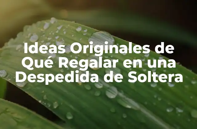 Ideas Originales de Qué Regalar en una Despedida de Soltera