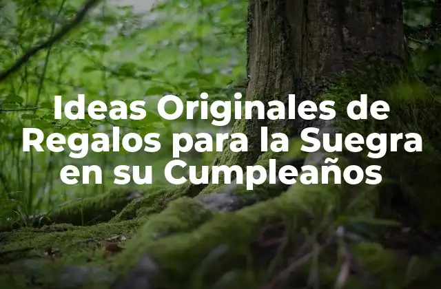 ¿Cuál es el Tipo de Regalo que Le Gusta a la Suegra?