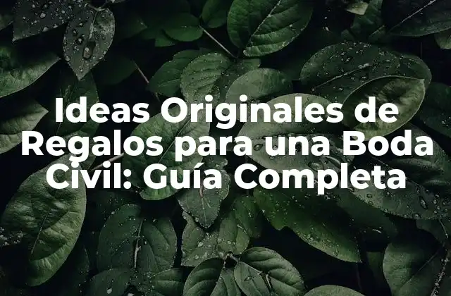 Ideas Originales de Regalos para una Boda Civil: Guía Completa