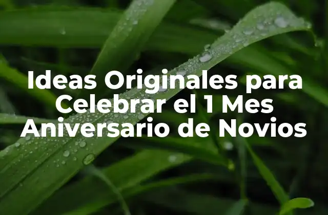 Ideas Originales para Celebrar el 1 Mes Aniversario de Novios