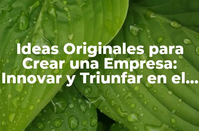 Ideas Originales para Crear una Empresa: Innovar y Triunfar en el Mundo Empresarial