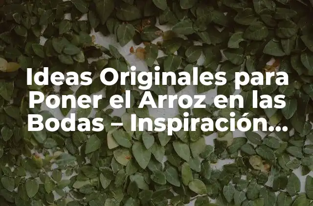 Ideas Originales para Poner el Arroz en las Bodas – Inspiración para Tu Día Especial