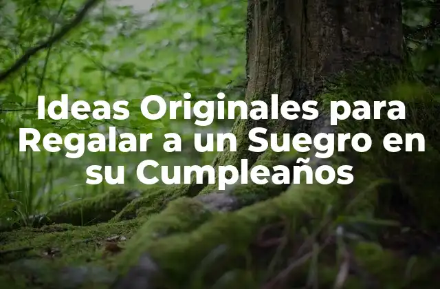 Ideas Originales para Regalar a un Suegro en Su Cumpleaños