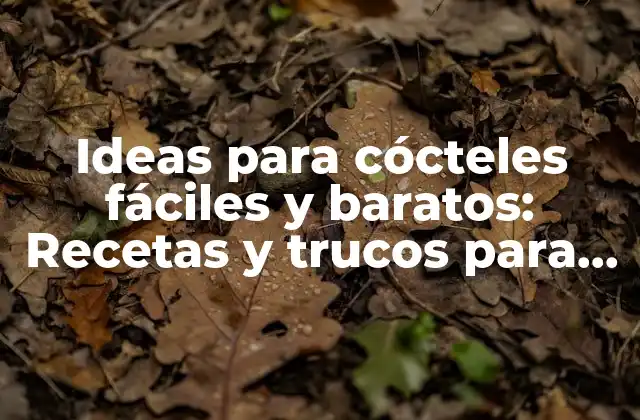 Ideas para Cócteles Fáciles y Baratos: Recetas y Trucos para Impresionar a Tus Invitados