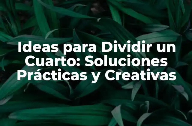 Ideas para Dividir un Cuarto: Soluciones Prácticas y Creativas
