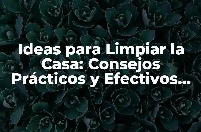 Ideas para Limpiar la Casa: Consejos Prácticos y Efectivos para un Hogar Limpio y Organizado