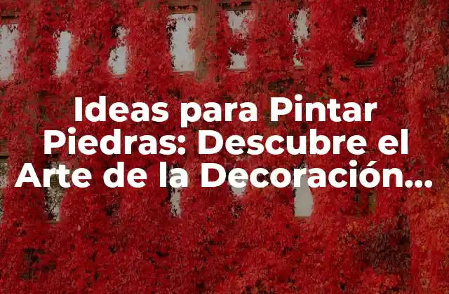 Ideas para Pintar Piedras: Descubre el Arte de la Decoración Natural