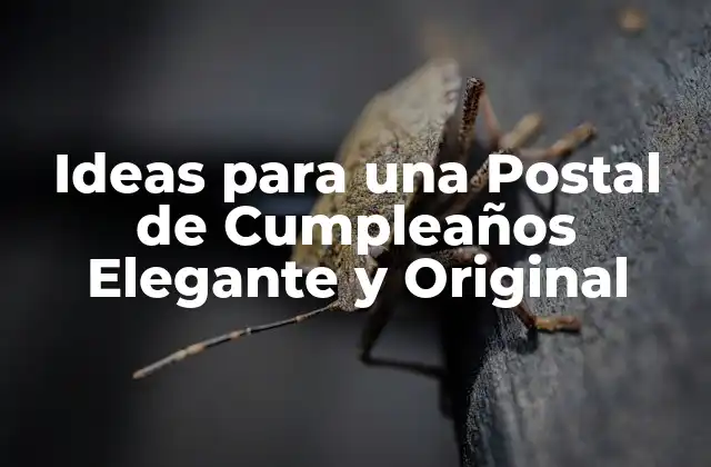 Ideas para una Postal de Cumpleaños Elegante y Original