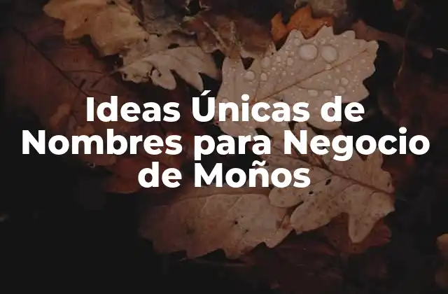 Ideas Únicas de Nombres para Negocio de Moños