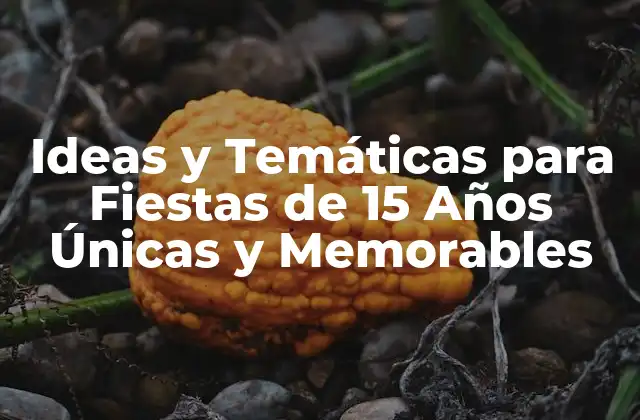 Ideas y Temáticas para Fiestas de 15 Años Únicas y Memorables