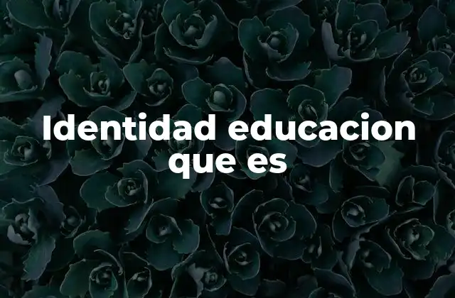 Identidad Educacion que es