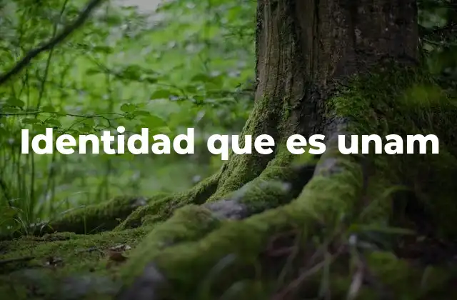 Identidad que es Unam