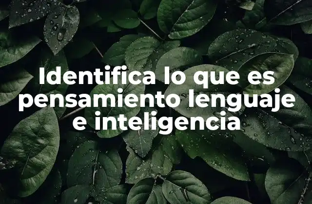 La base del funcionamiento cognitivo humano