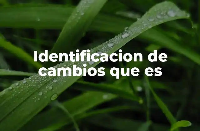 Identificacion de Cambios que es