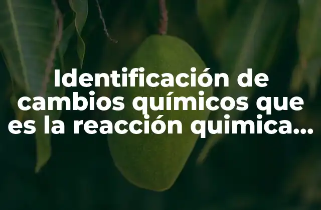 Identificación de Cambios Químicos que es la Reacción Quimica Prezi