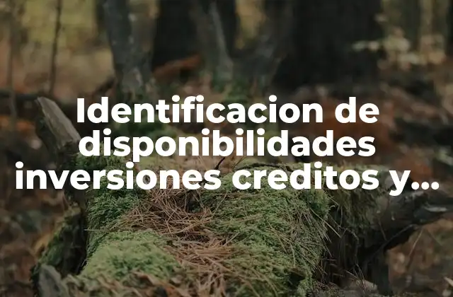 Identificacion de Disponibilidades Inversiones Creditos y Deudas que es