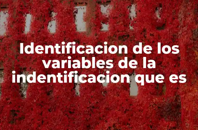 Identificacion de los Variables de la Indentificacion que es