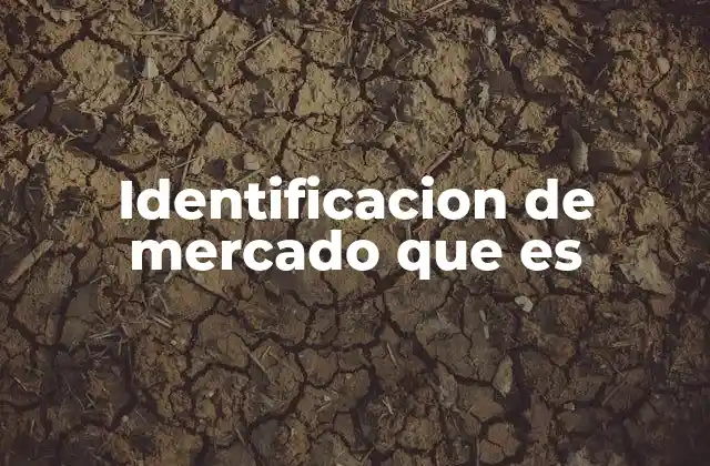 Identificacion de Mercado que es