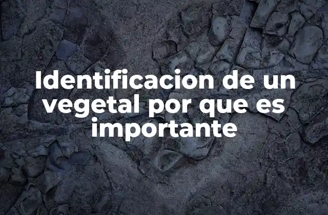 Identificacion de un Vegetal por que es Importante