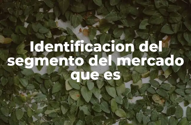 Identificacion Del Segmento Del Mercado que es