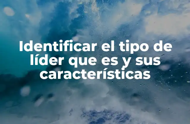 Identificar el Tipo de Líder que es y Sus Características 2 El impacto del estilo de liderazgo en el rendimiento de los equipos
