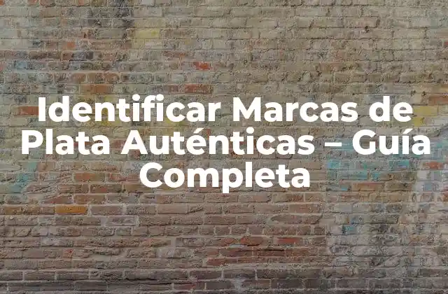Identificar Marcas de Plata Auténticas – Guía Completa