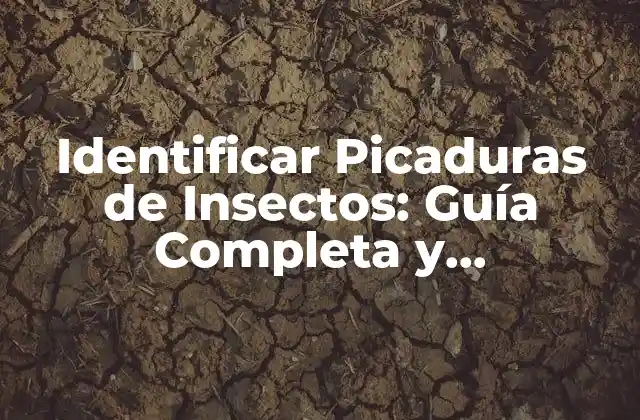 Identificar Picaduras de Insectos: Guía Completa y Actualizada