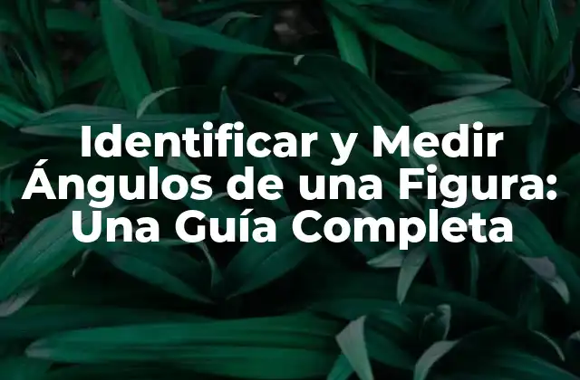 Identificar y Medir Ángulos de una Figura: una Guía Completa