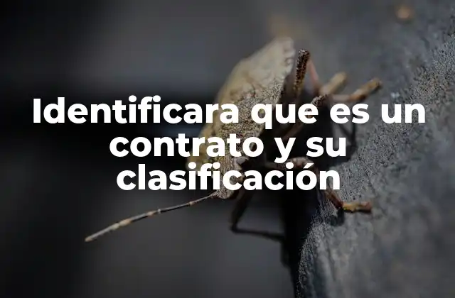 Identificara que es un Contrato y Su Clasificación