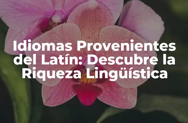 Idiomas Provenientes Del Latín: Descubre la Riqueza Lingüística 2 Orígenes del Latín y su Evolución
