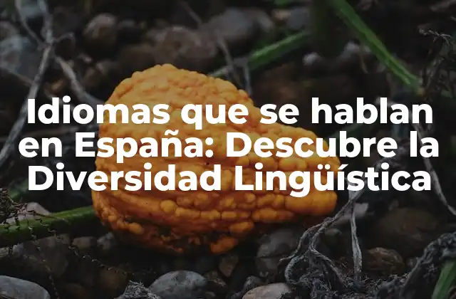 Idiomas que Se Hablan en España: Descubre la Diversidad Lingüística