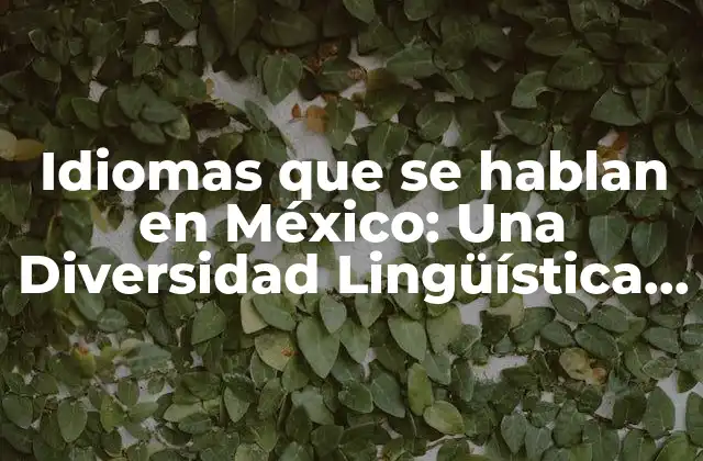 Idiomas que Se Hablan en México: una Diversidad Lingüística Rica
