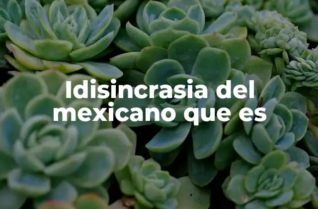 Idisincrasia Del Mexicano que es