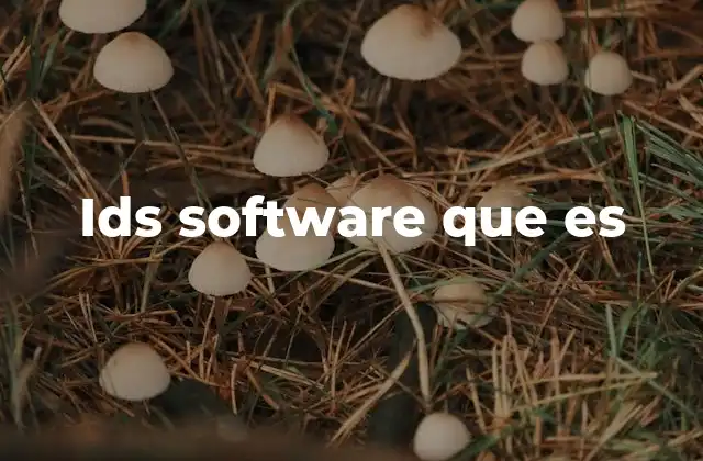 Ids Software que es