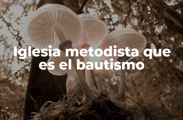 Iglesia Metodista que es el Bautismo