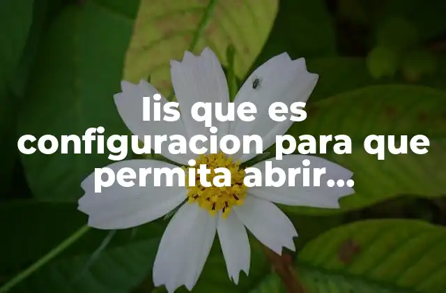 Iis que es Configuracion para que Permita Abrir Documentos