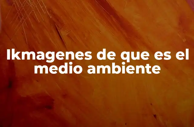 Ikmagenes de que es el Medio Ambiente