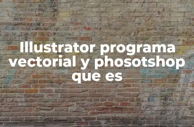 ¿Cómo se diferencian los programas vectoriales de los de edición de imágenes?