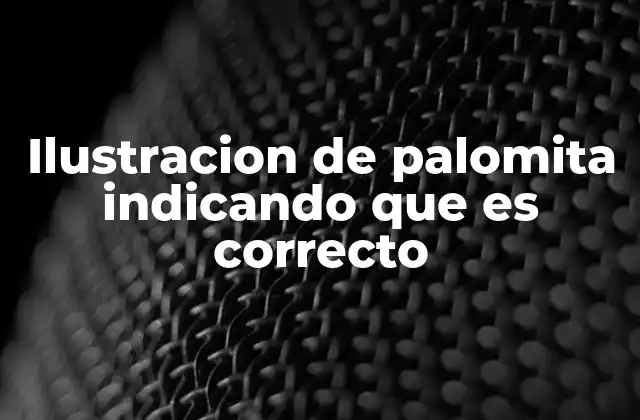 Ilustracion de Palomita Indicando que es Correcto