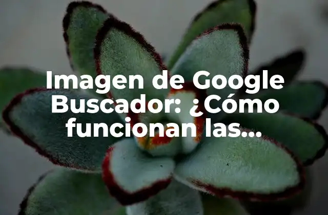 Imagen de Google Buscador: ¿cómo Funcionan las Imágenes en Google Search?