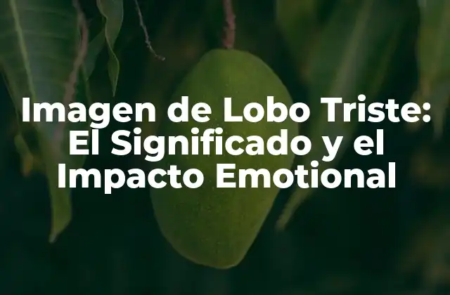 Imagen de Lobo Triste: el Significado y el Impacto Emotional