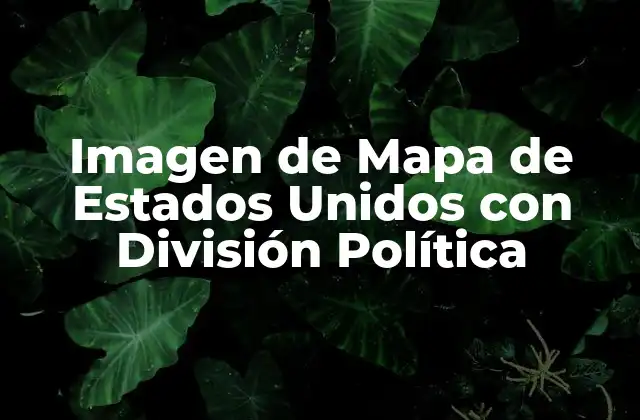 La Historia detrás de la Imagen de Mapa de Estados Unidos