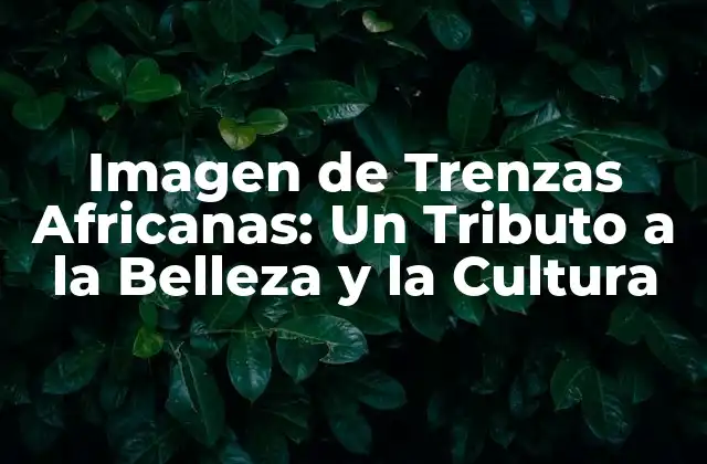Imagen de Trenzas Africanas: un Tributo a la Belleza y la Cultura