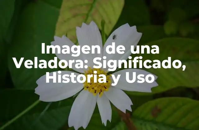 Imagen de una Veladora: Significado, Historia y Uso